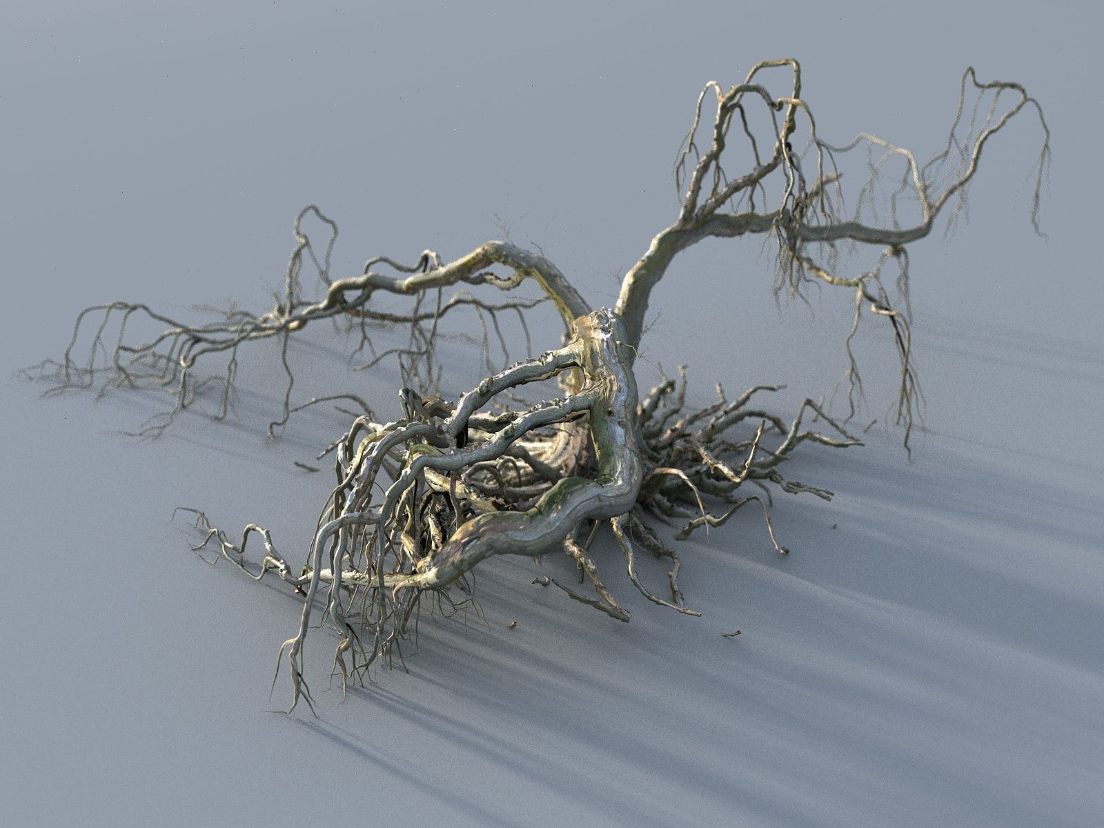 OLD FOREST PACK 10 3D model_10