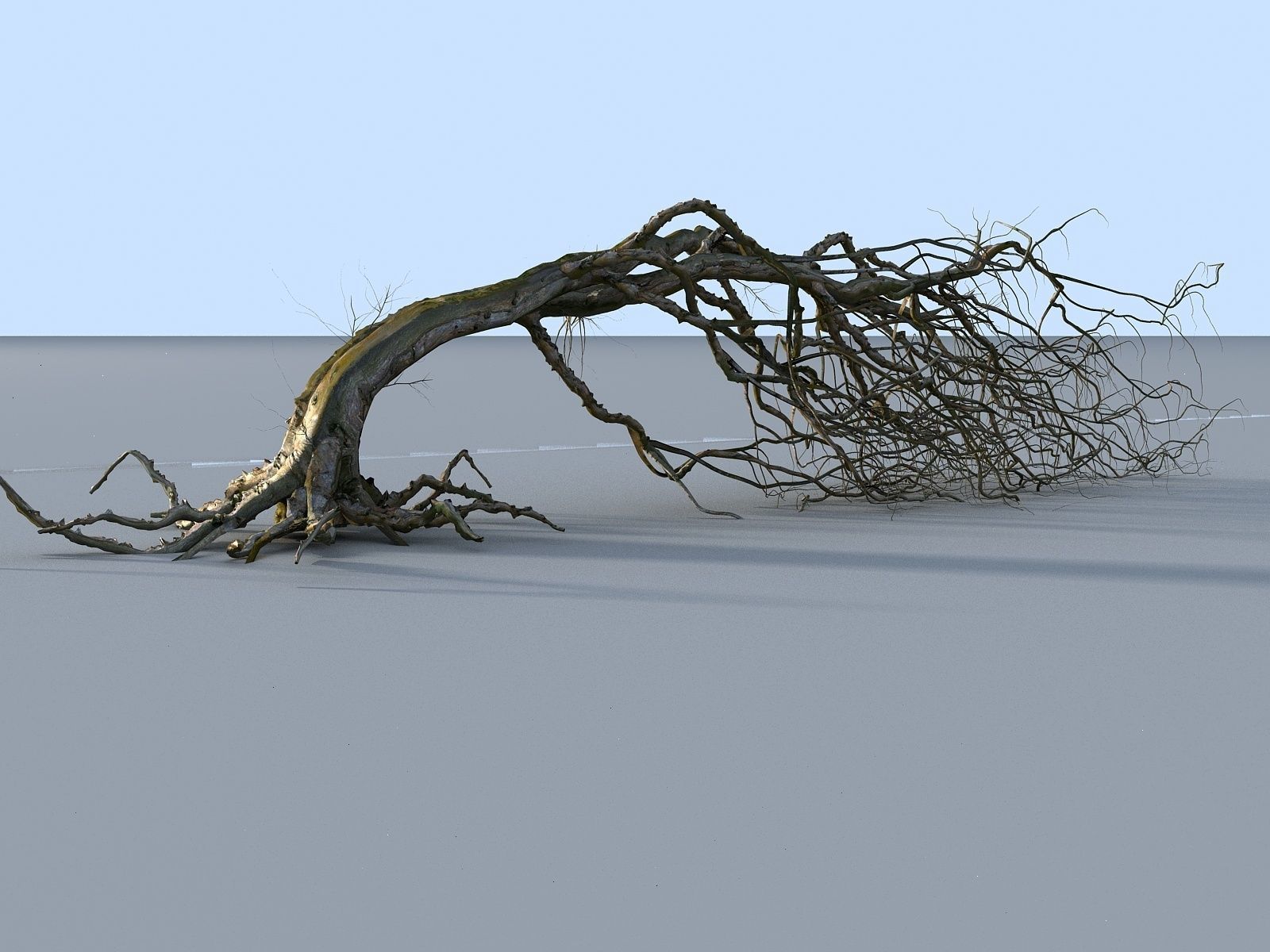 OLD FOREST PACK 10 3D model_39