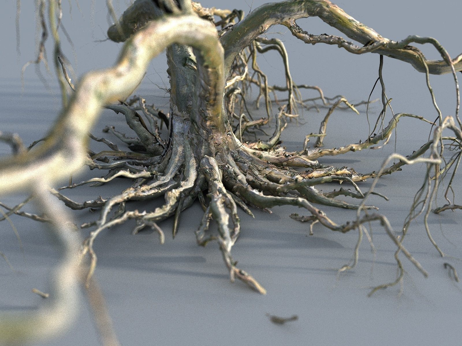 OLD FOREST PACK 10 3D model_11