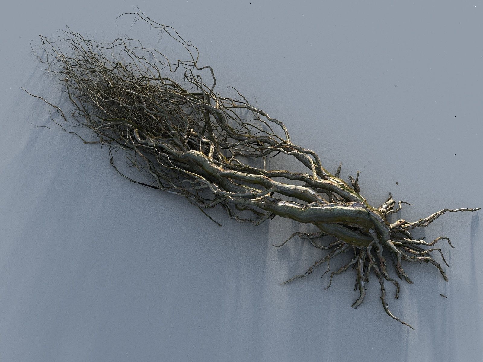 OLD FOREST PACK 10 3D model_42