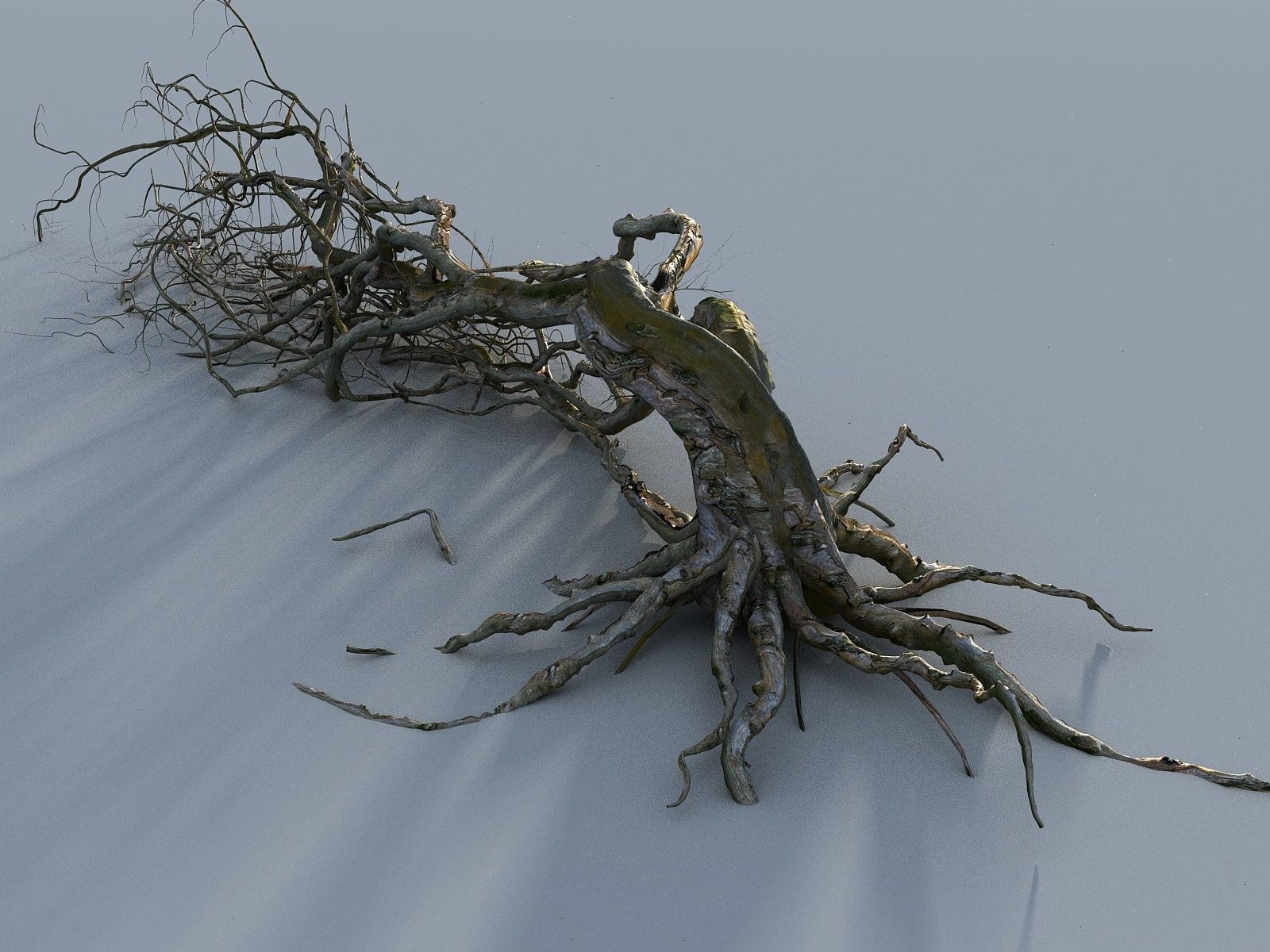 OLD FOREST PACK 10 3D model_25