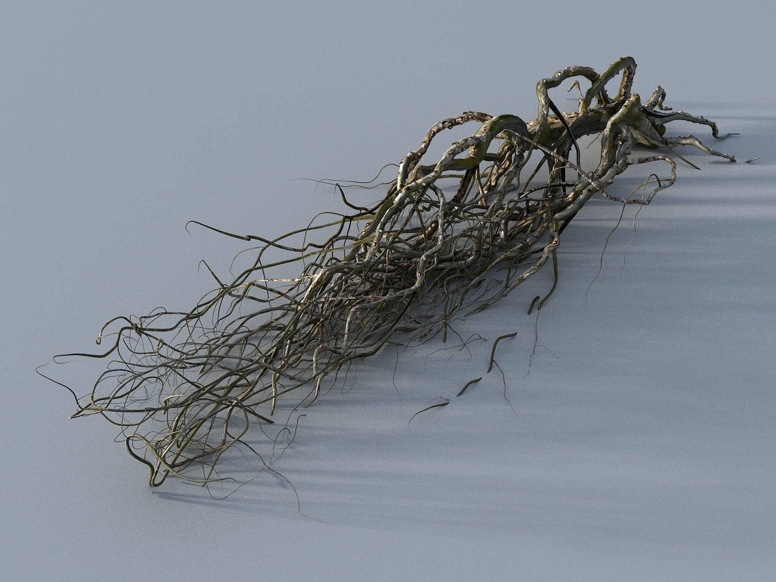 OLD FOREST PACK 10 3D model_8