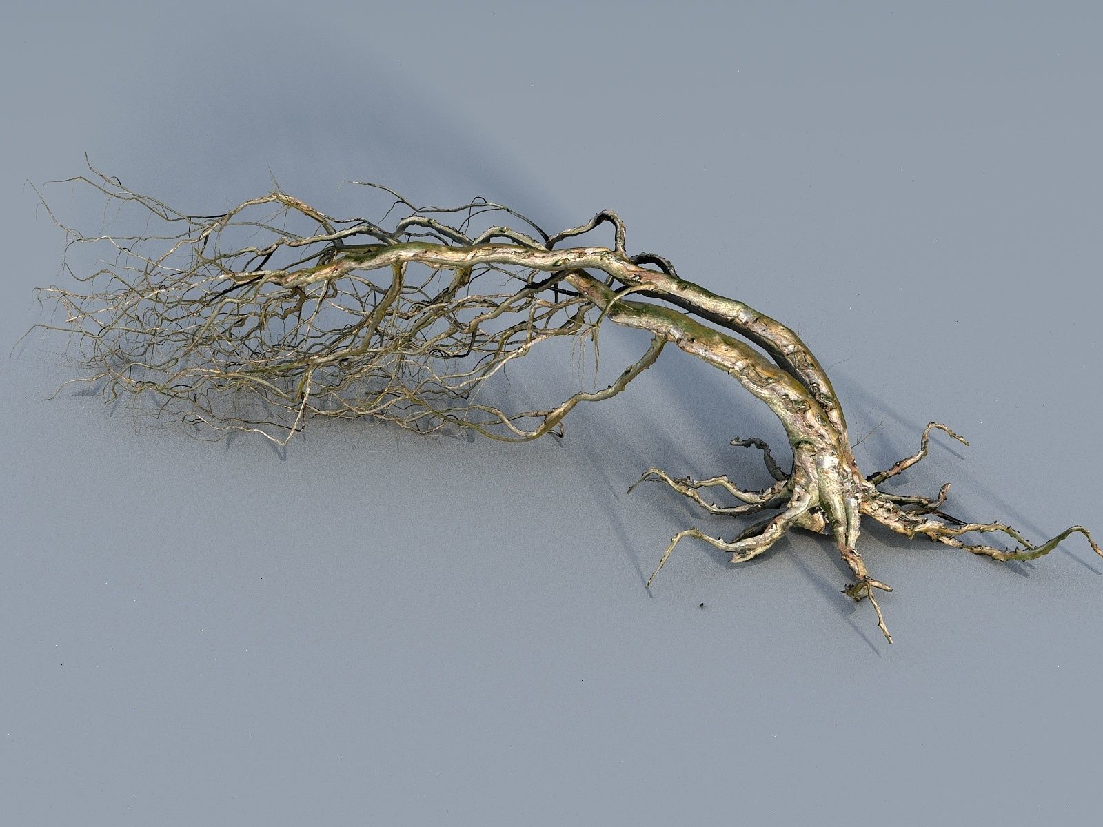 OLD FOREST PACK 10 3D model_41