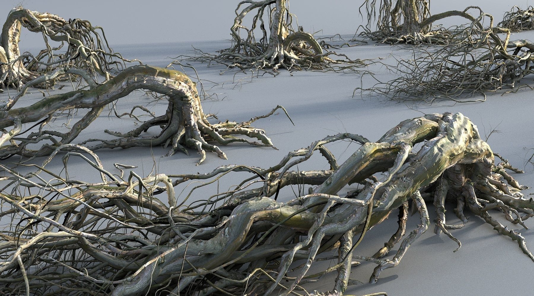 OLD FOREST PACK 10 3D model_5