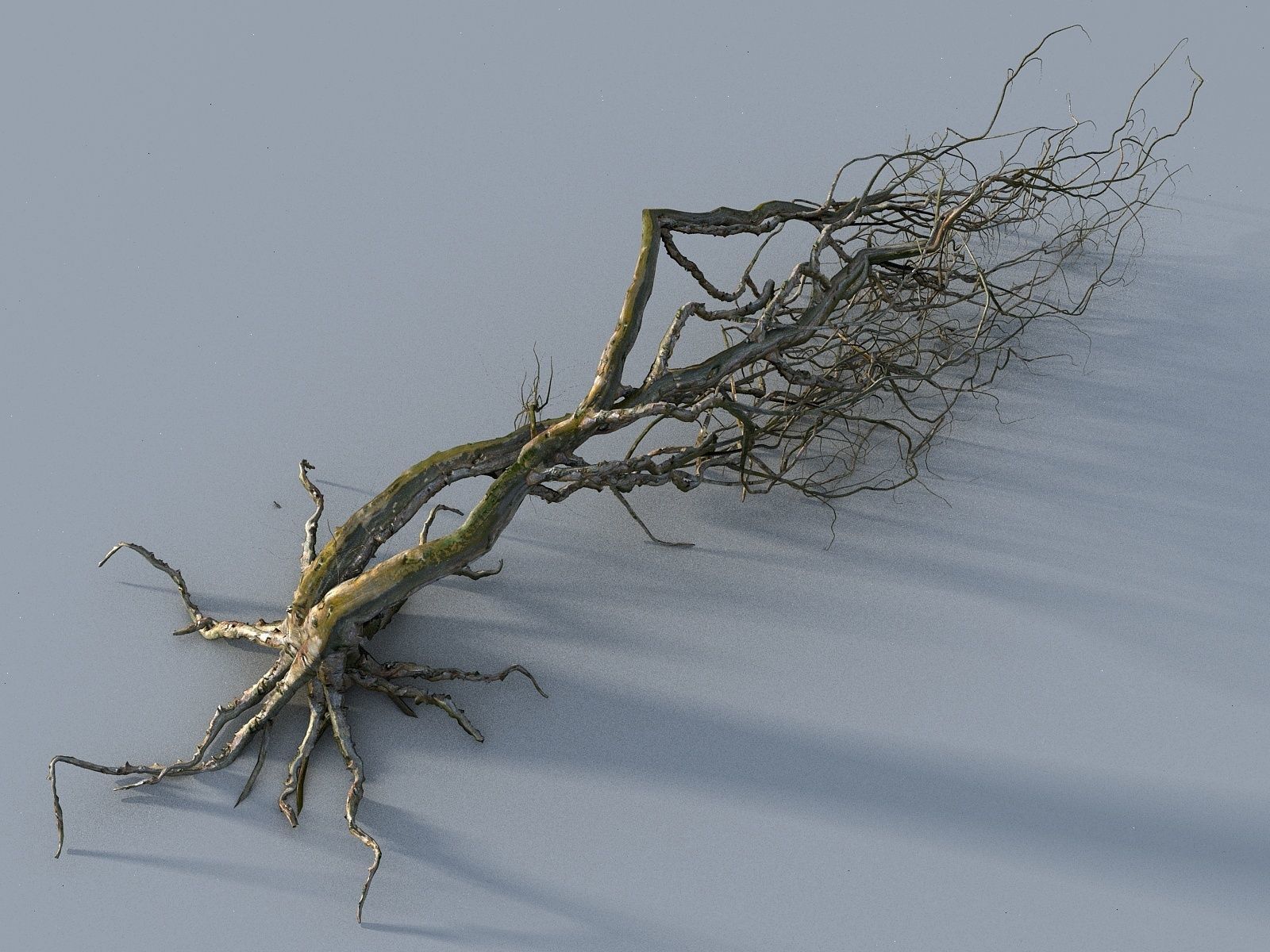 OLD FOREST PACK 10 3D model_40