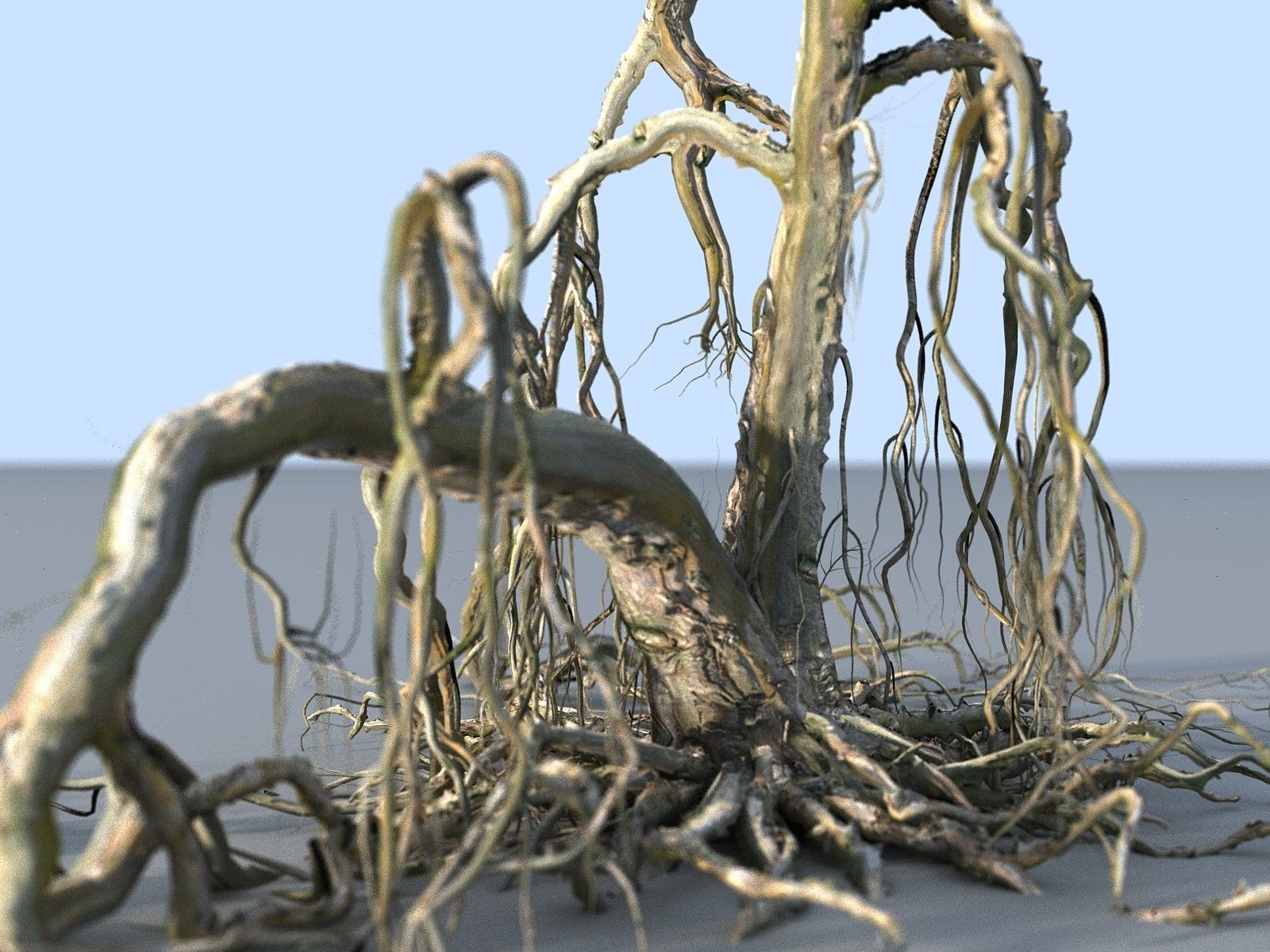 OLD FOREST PACK 10 3D model_18