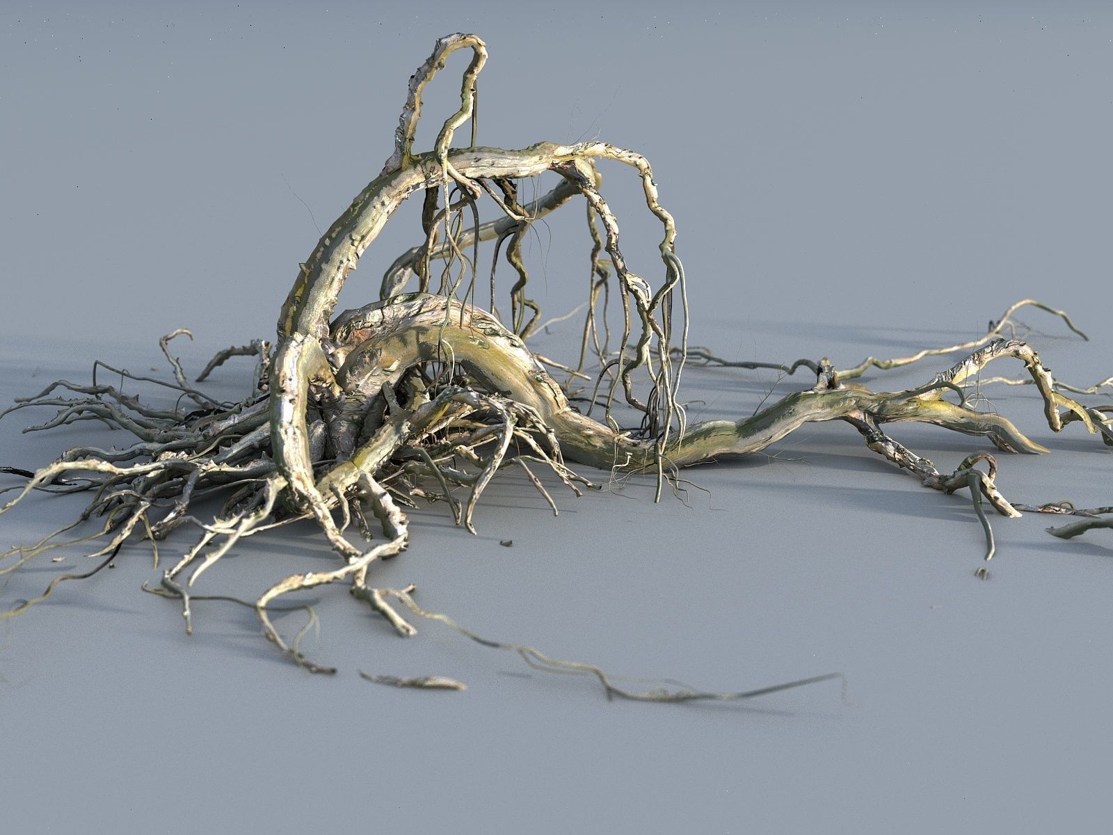 OLD FOREST PACK 10 3D model_14