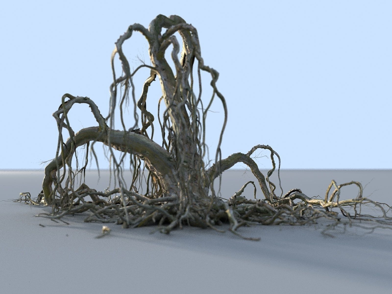 OLD FOREST PACK 10 3D model_16