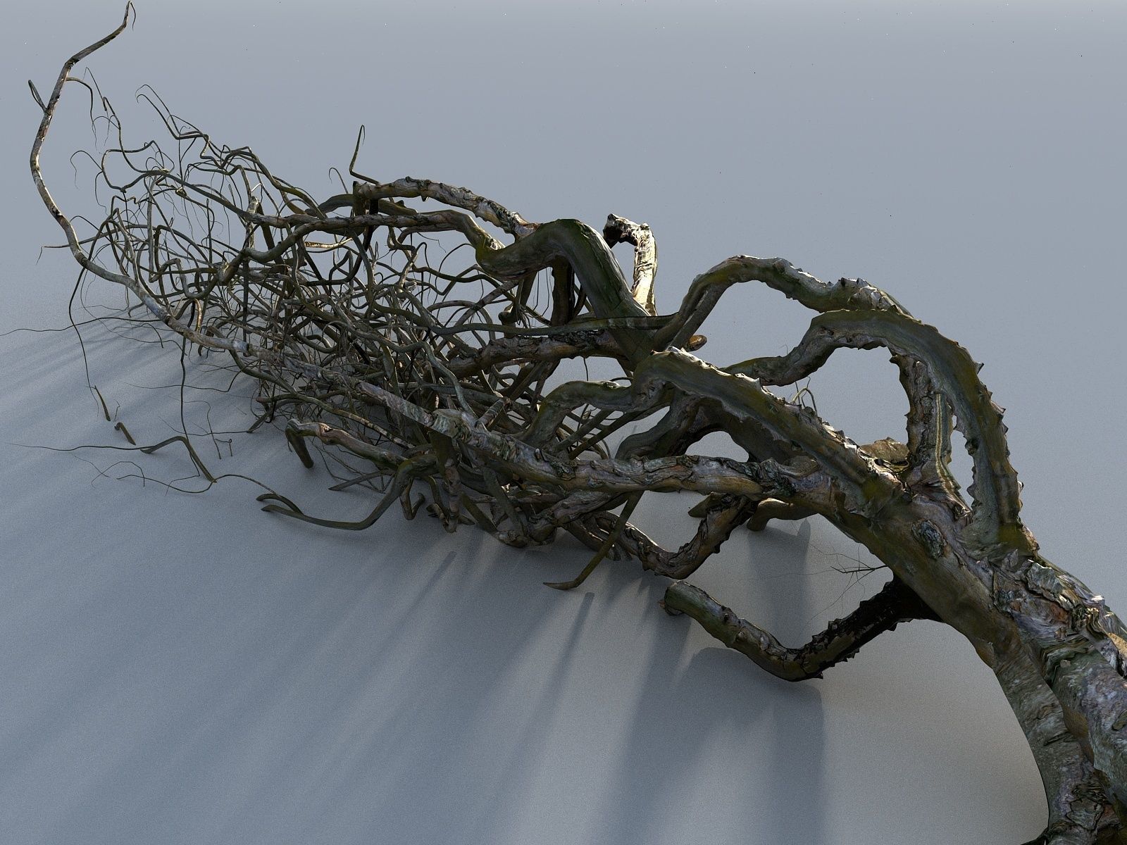 OLD FOREST PACK 10 3D model_7