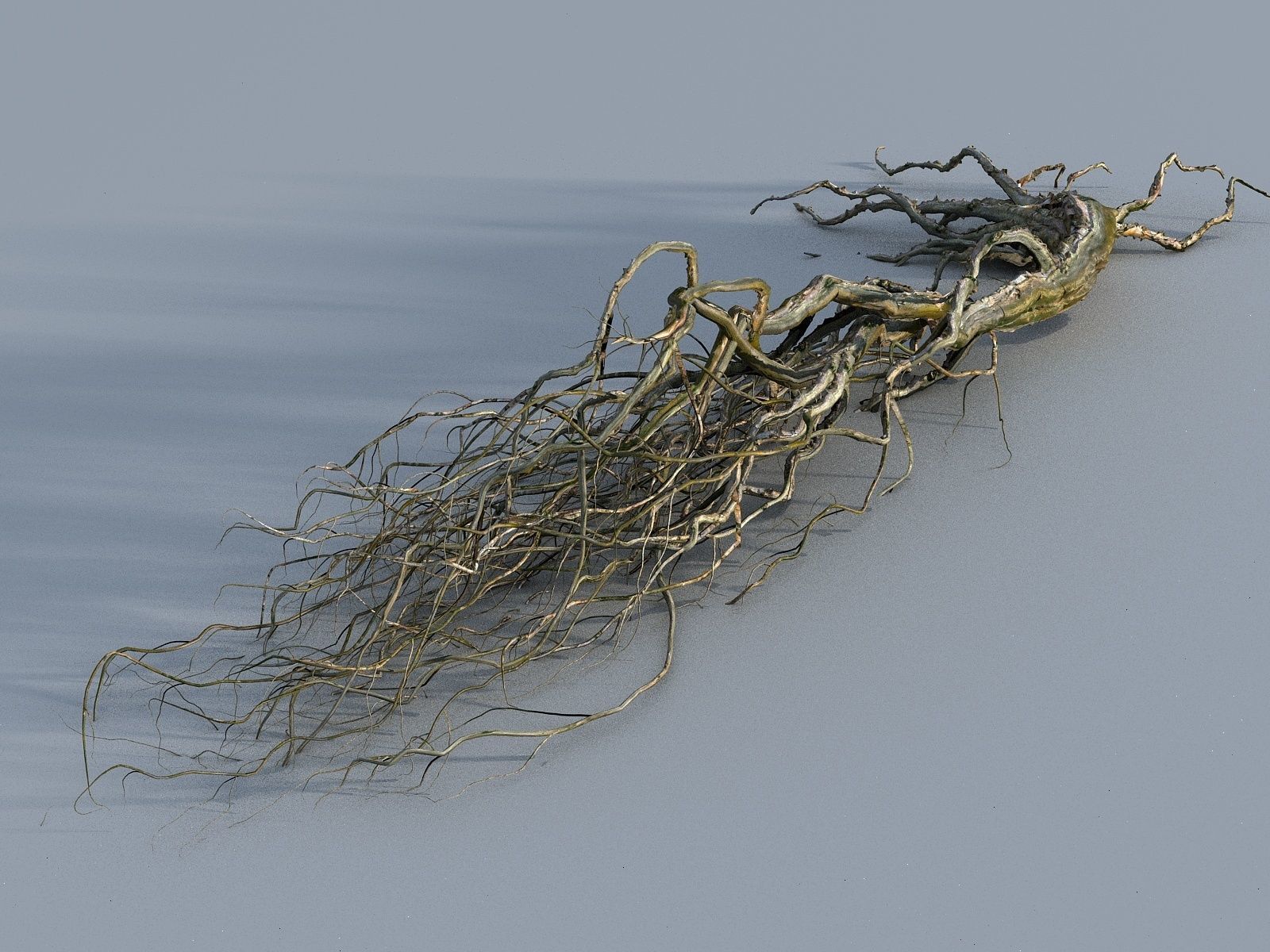 OLD FOREST PACK 10 3D model_37