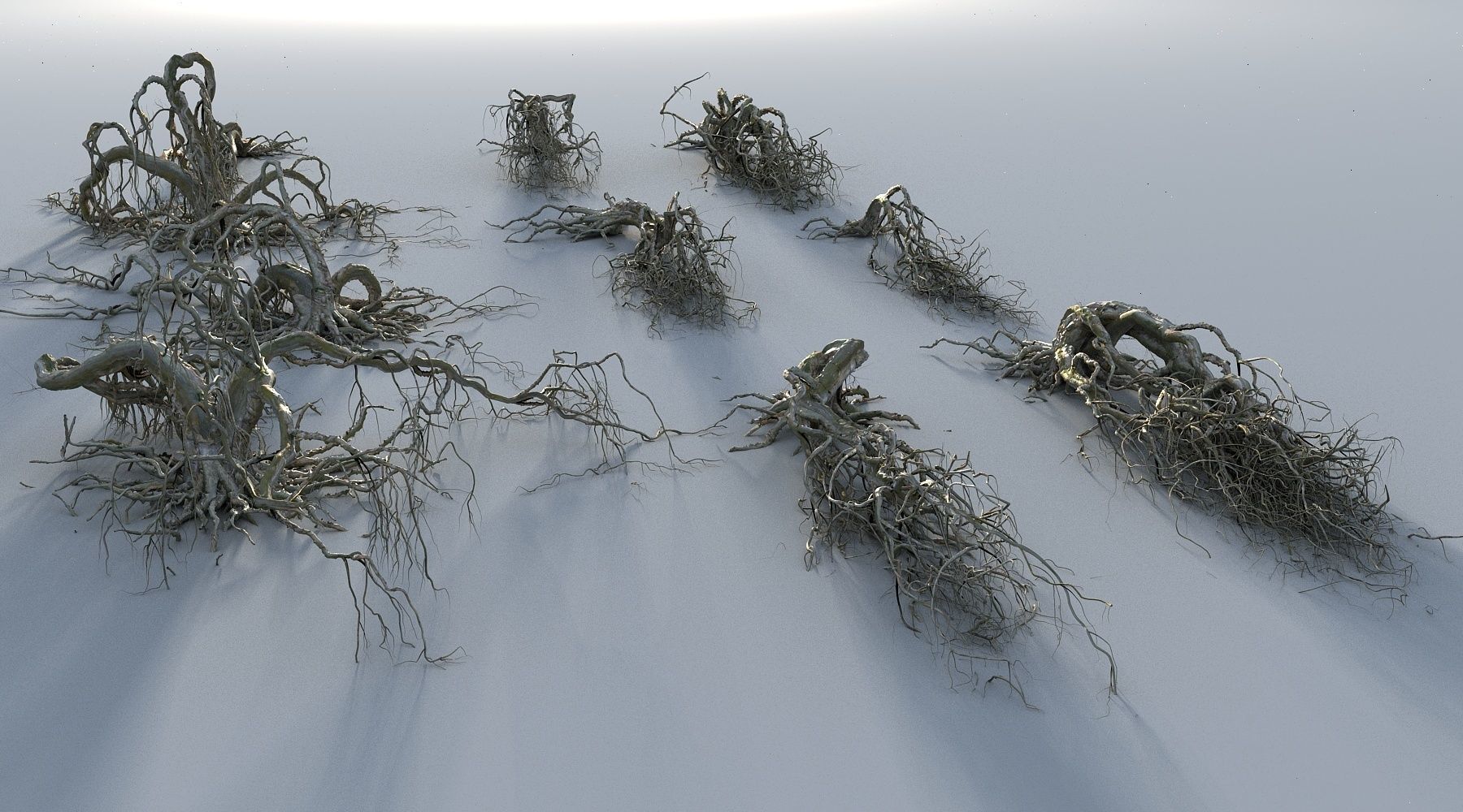 OLD FOREST PACK 10 3D model_6