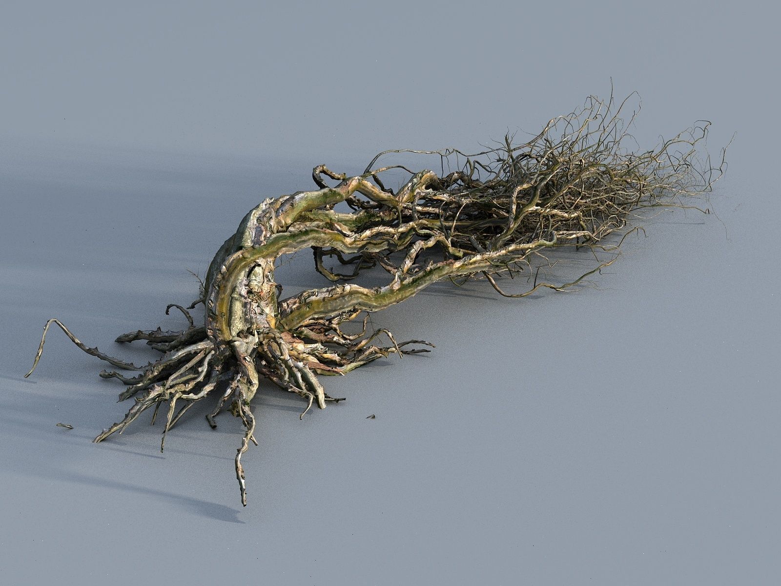 OLD FOREST PACK 10 3D model_44