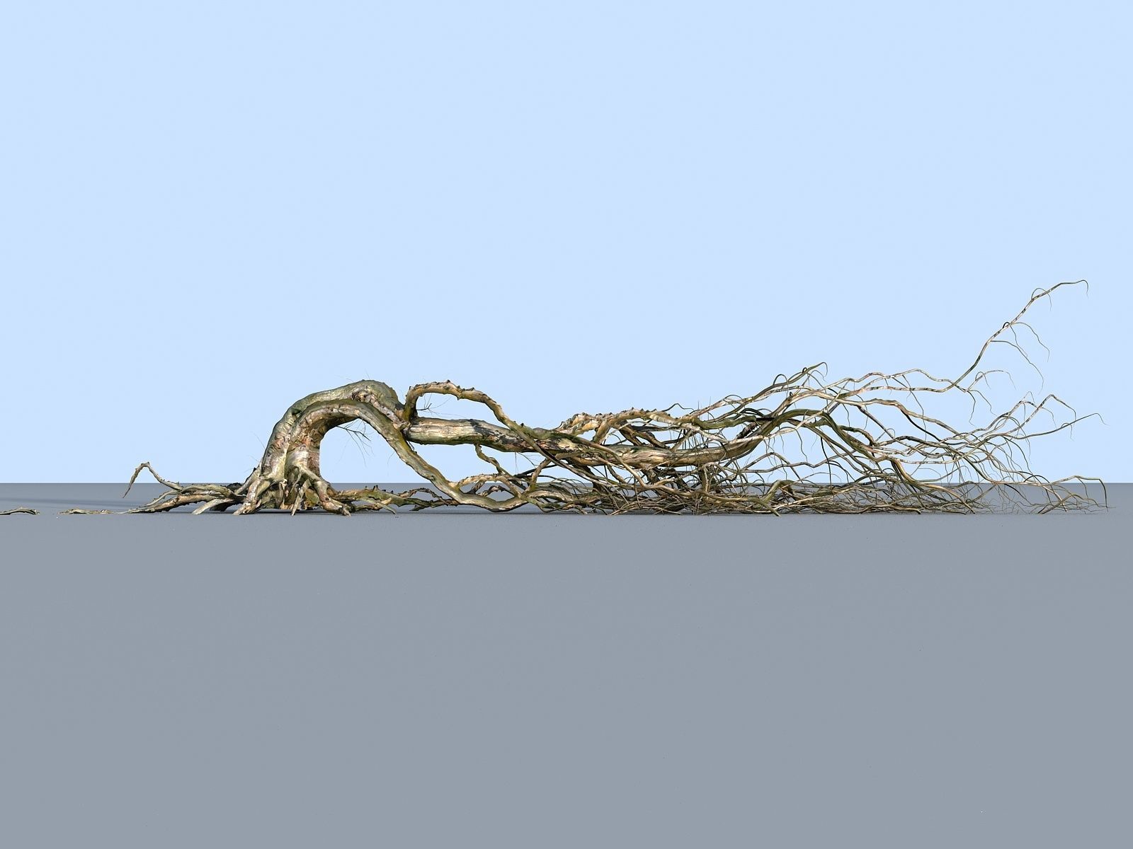 OLD FOREST PACK 10 3D model_27