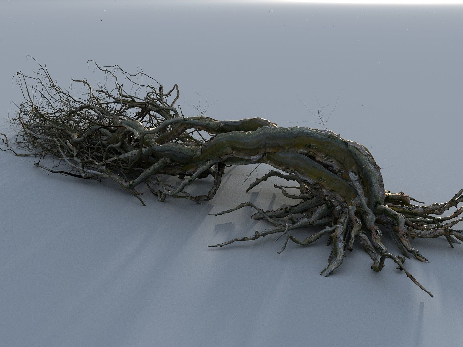 OLD FOREST PACK 10 3D model_45