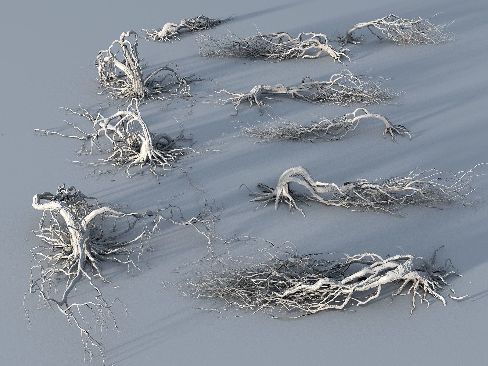 OLD FOREST PACK 10 3D model_1