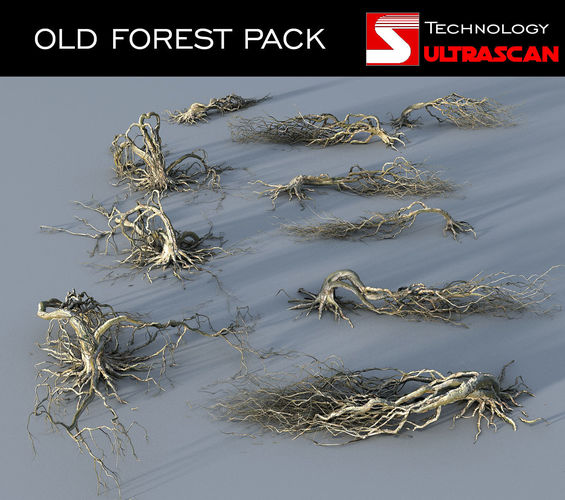 OLD FOREST PACK 10 3D model