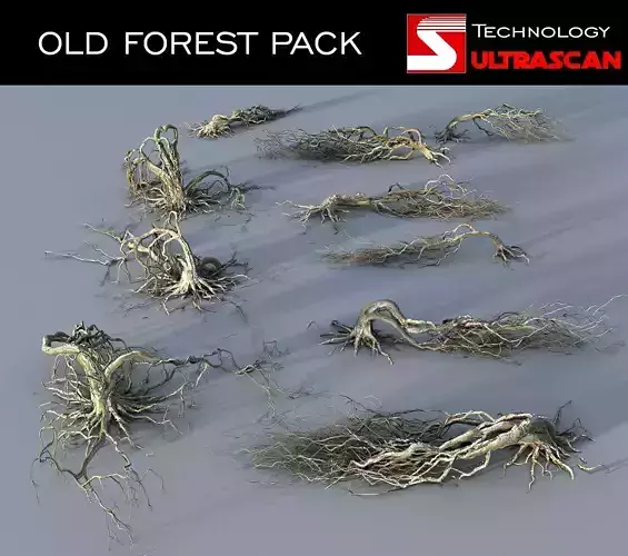 OLD FOREST PACK 10 3D model