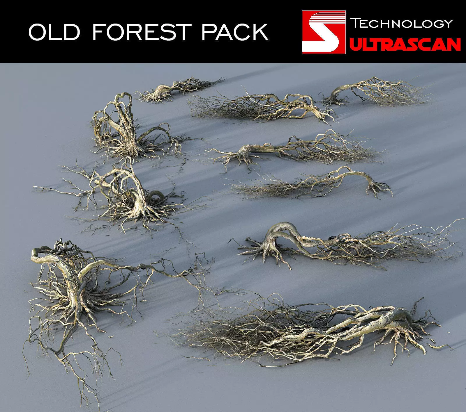 OLD FOREST PACK 10 3D model_0