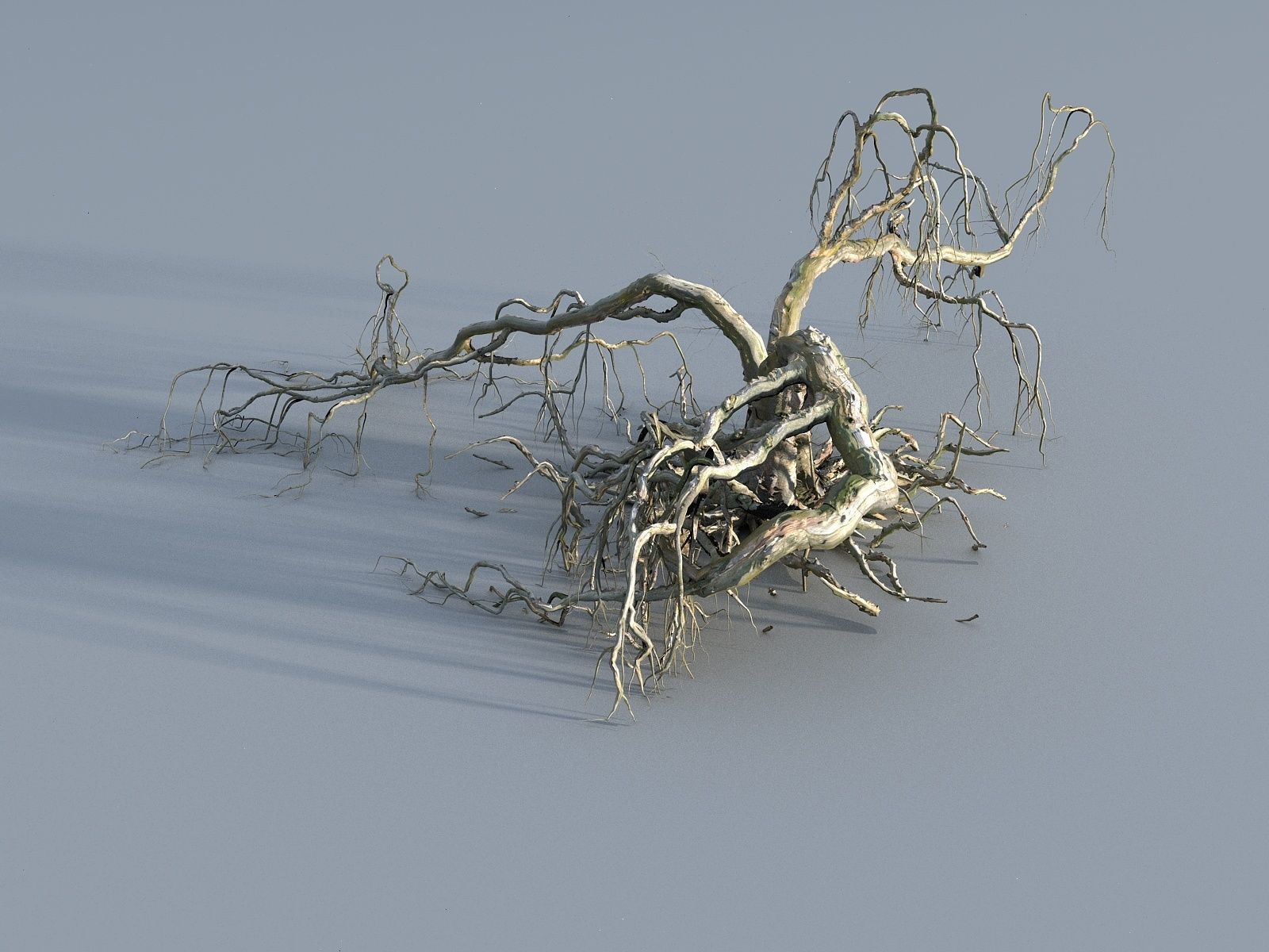 OLD FOREST PACK 10 3D model_9