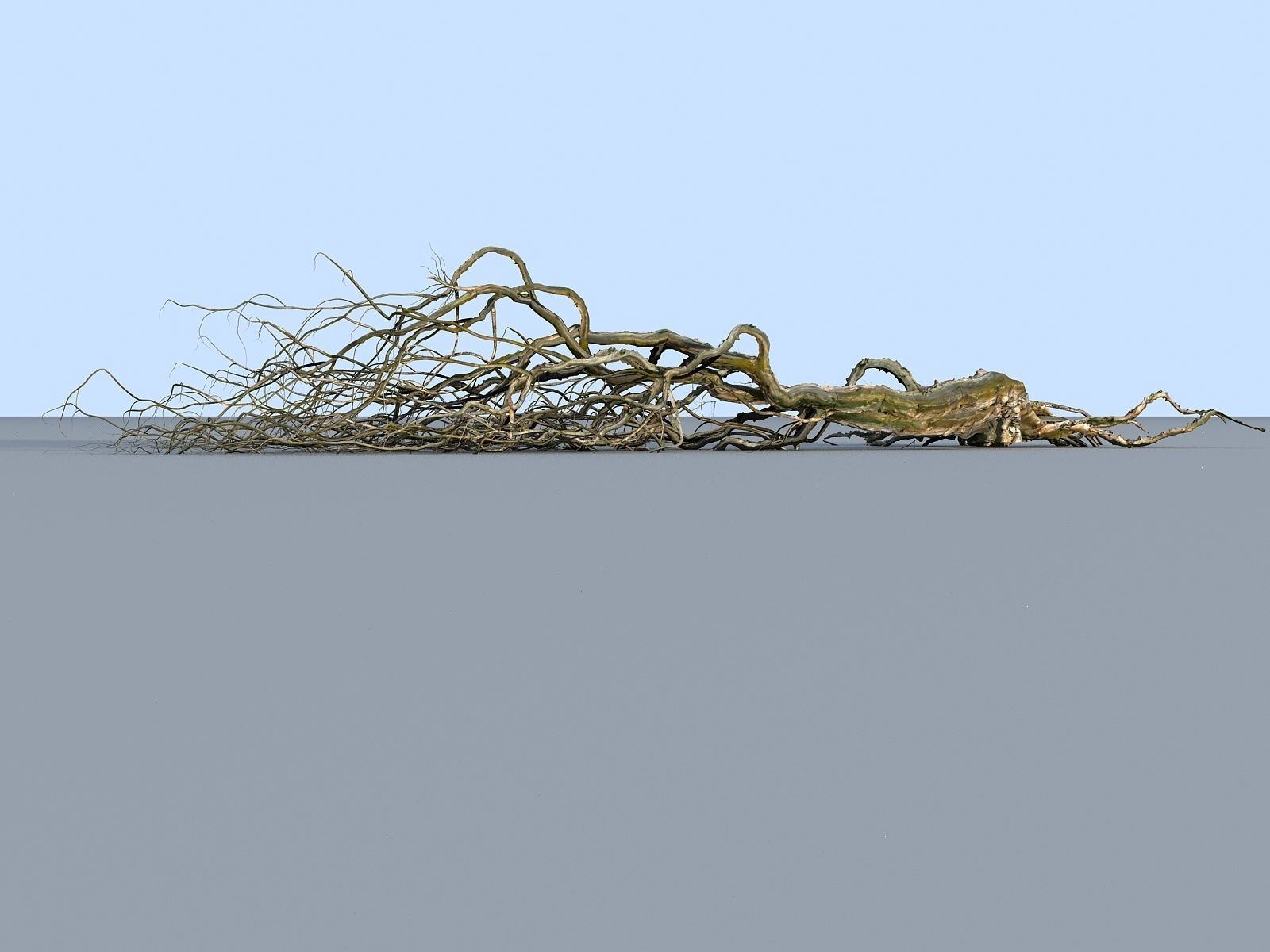 OLD FOREST PACK 10 3D model_35