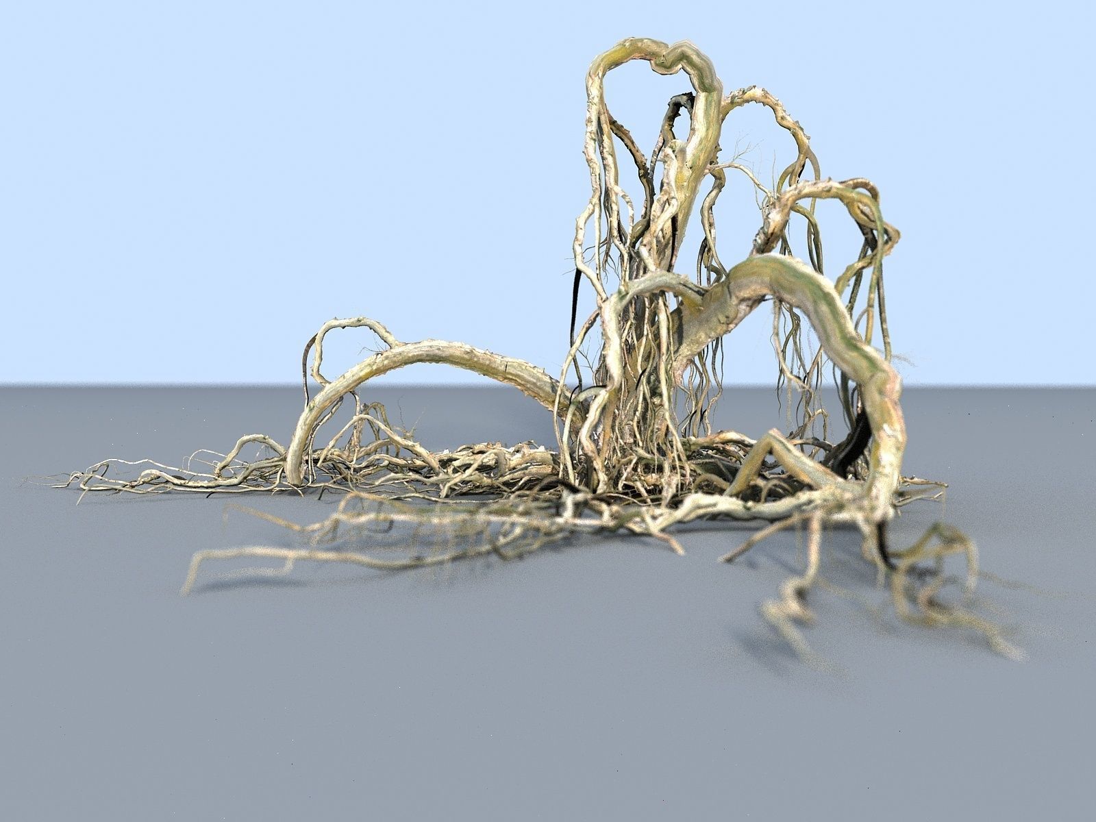 OLD FOREST PACK 10 3D model_15