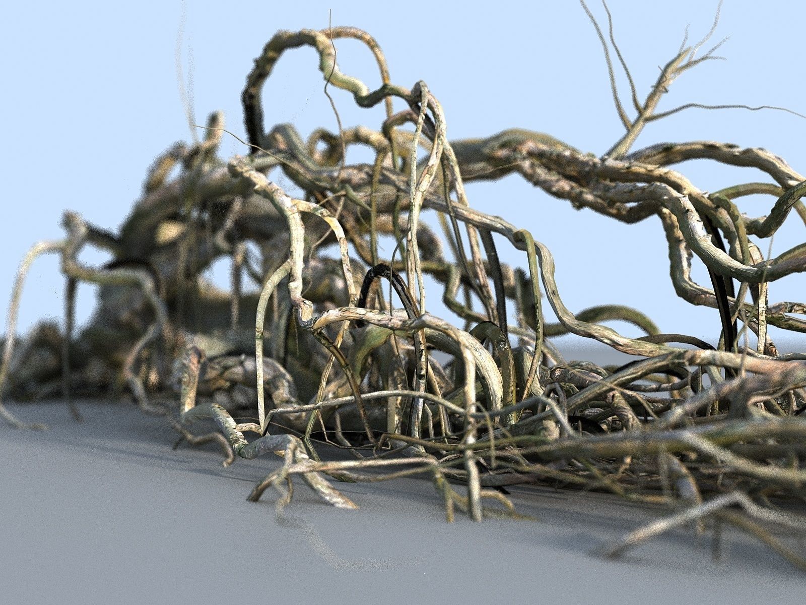 OLD FOREST PACK 10 3D model_22