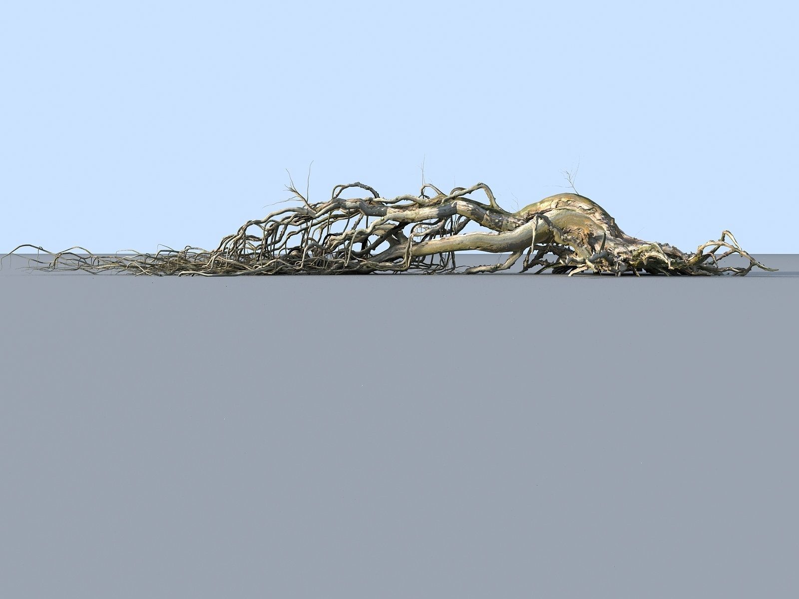 OLD FOREST PACK 10 3D model_19