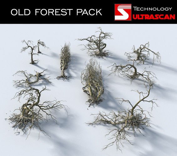 OLD FOREST PACK 10  3D model