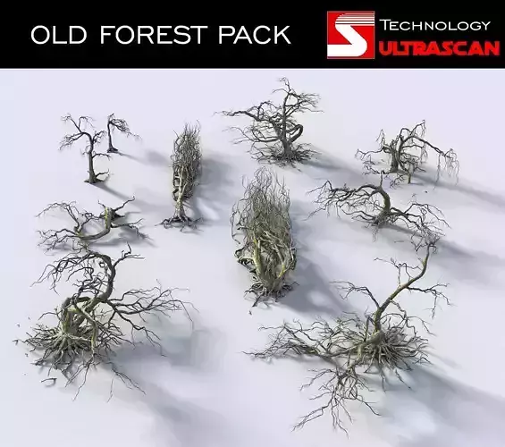 OLD FOREST PACK 10 