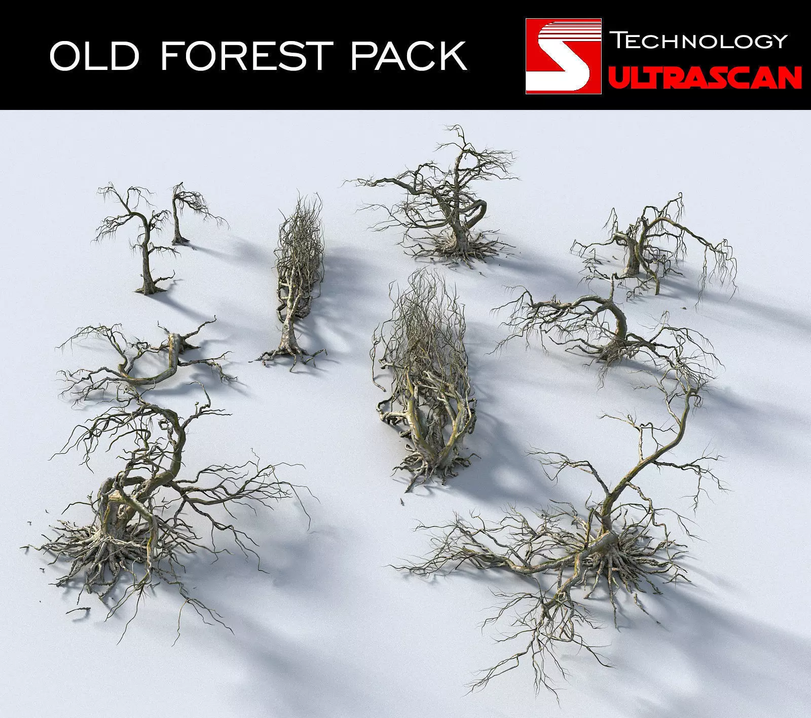 OLD FOREST PACK 10 3D model