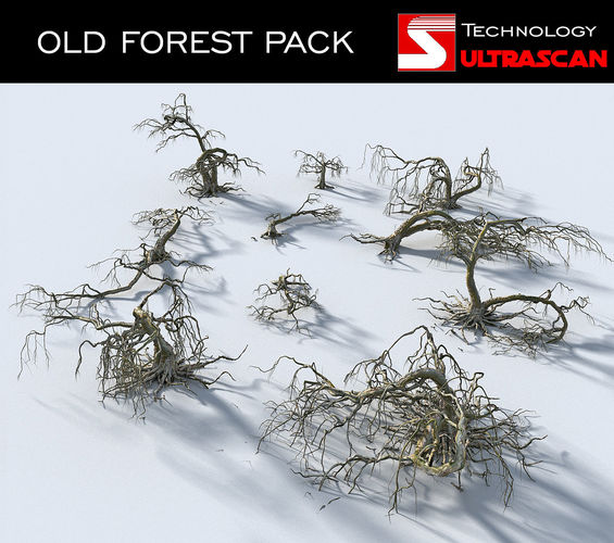OLD FOREST PACK 10 3D model