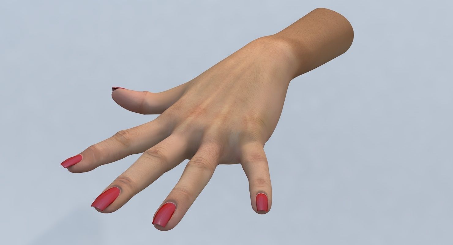 Hand 3d model left female Low-poly 3D model_3