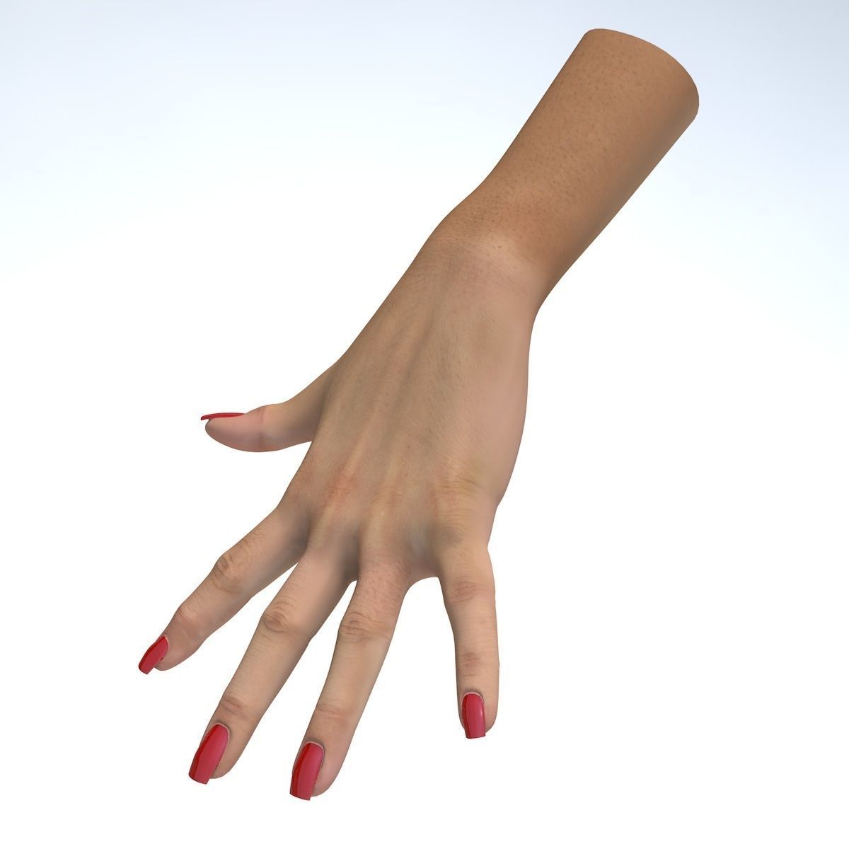 Hand 3d model left female Low-poly 3D model_8
