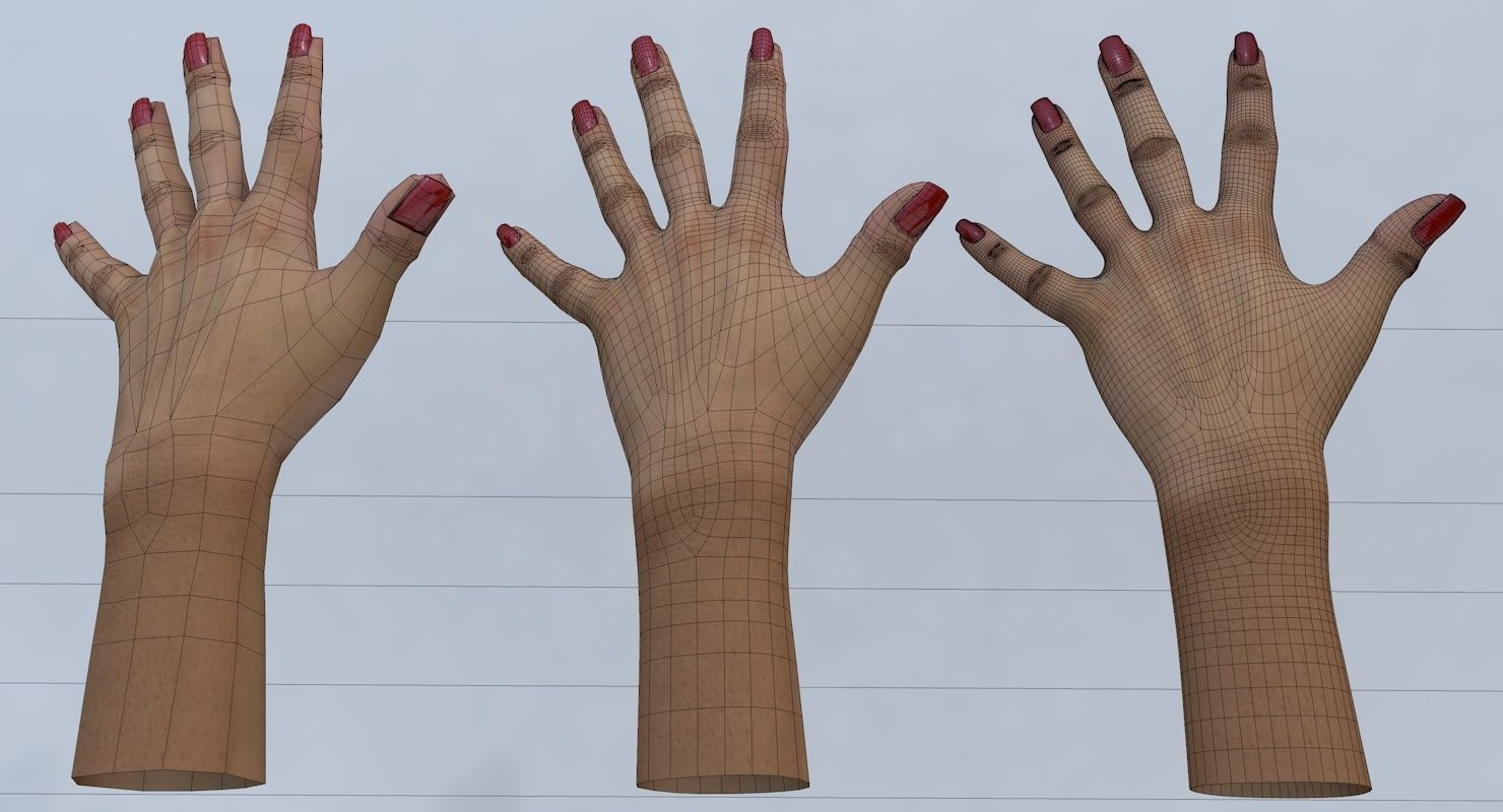 Hand 3d model left female Low-poly 3D model_21