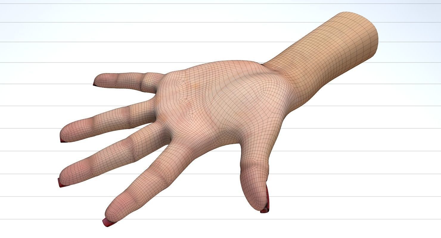 Hand 3d model left female Low-poly 3D model_28