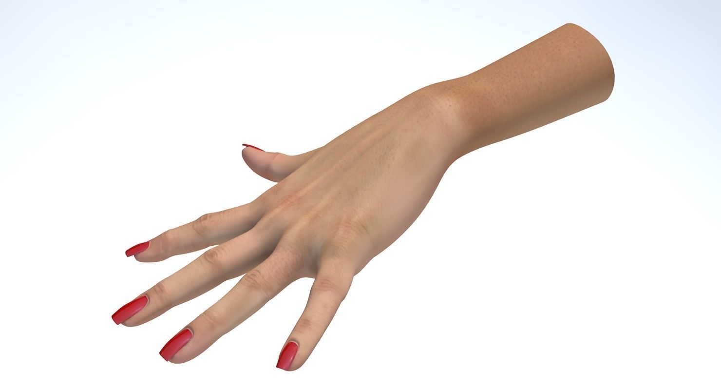 Hand 3d model left female Low-poly 3D model_11