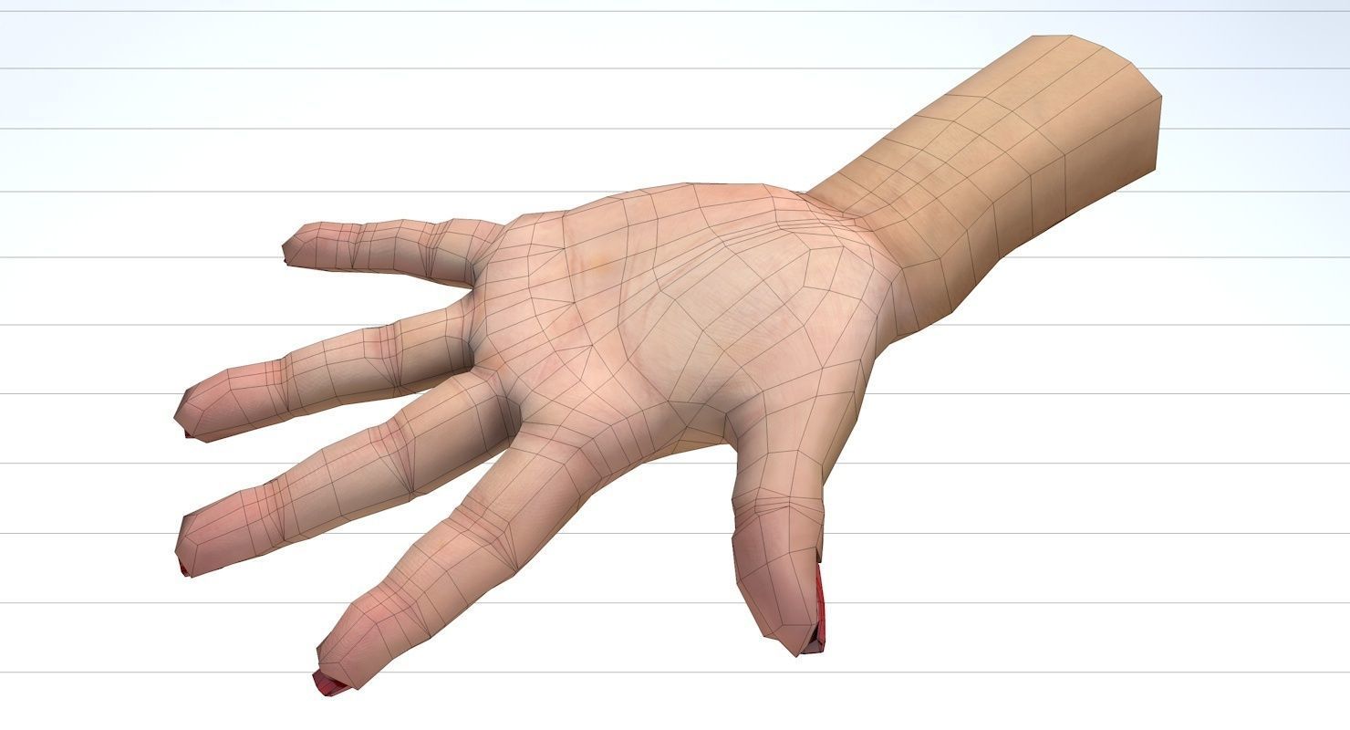 Hand 3d model left female Low-poly 3D model_26