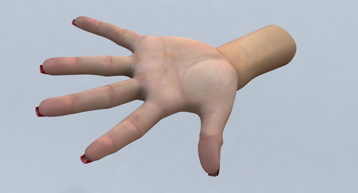 Hand 3d model left female Low-poly 3D model_5