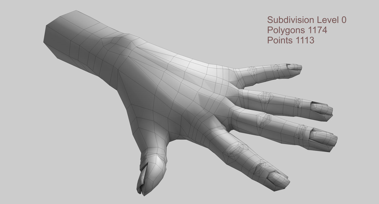 Hand 3d model left female Low-poly 3D model_17