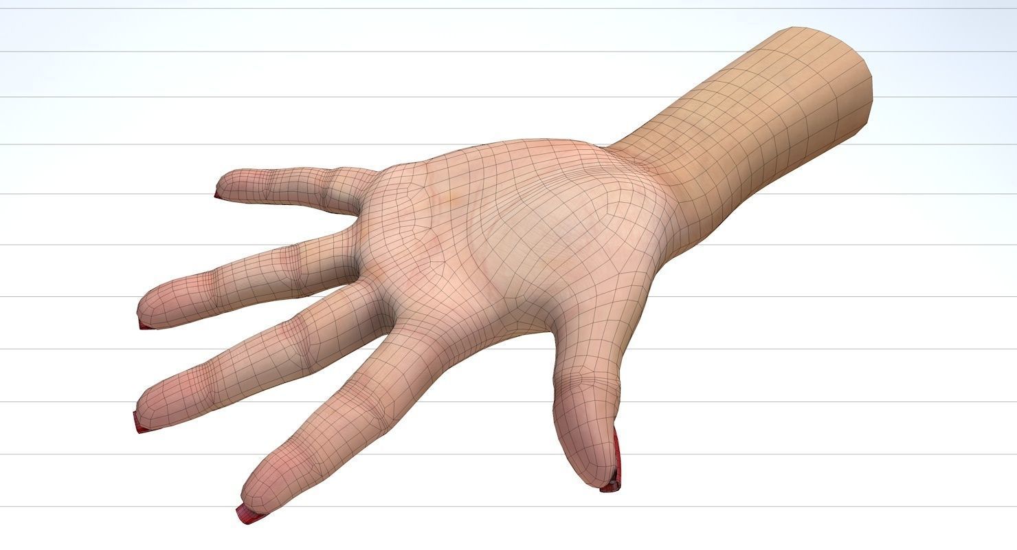 Hand 3d model left female Low-poly 3D model_27