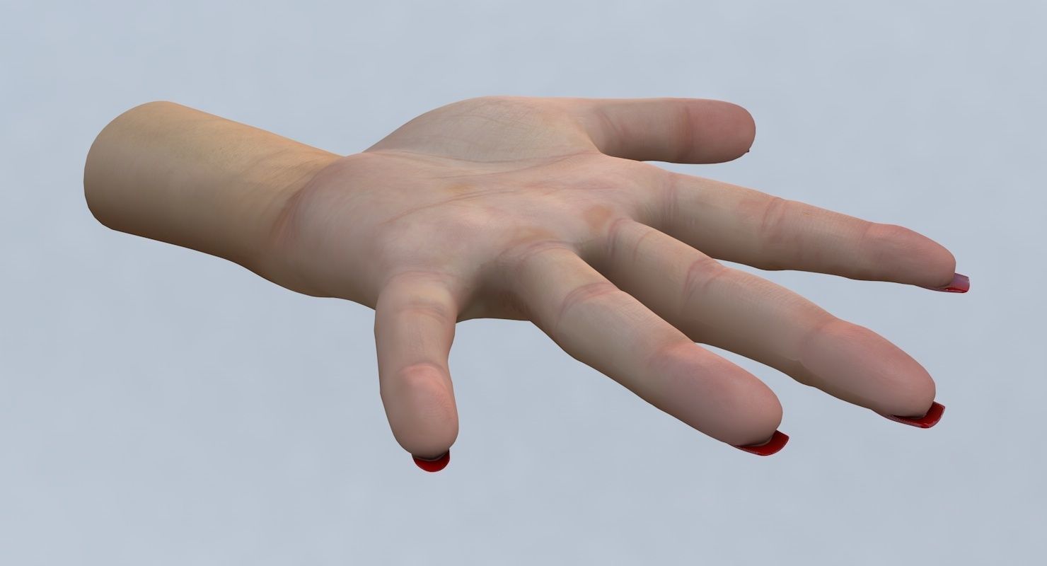 Hand 3d model left female Low-poly 3D model_7