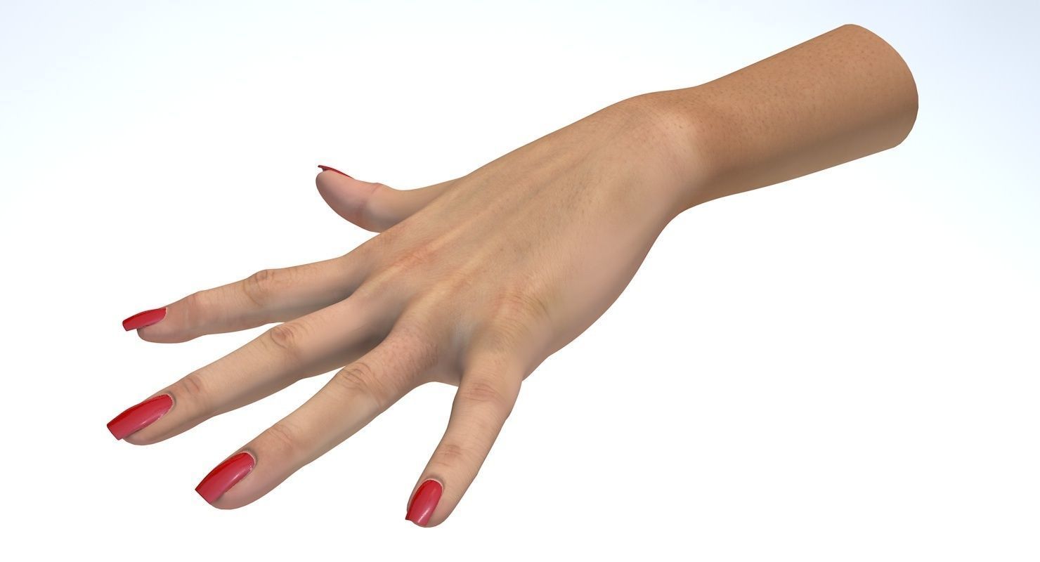 Hand 3d model left female Low-poly 3D model_9