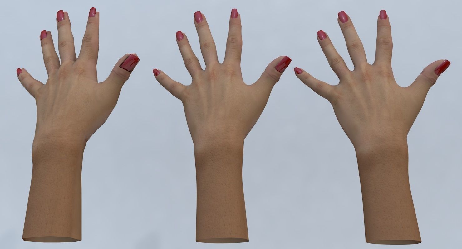 Hand 3d model left female Low-poly 3D model_22