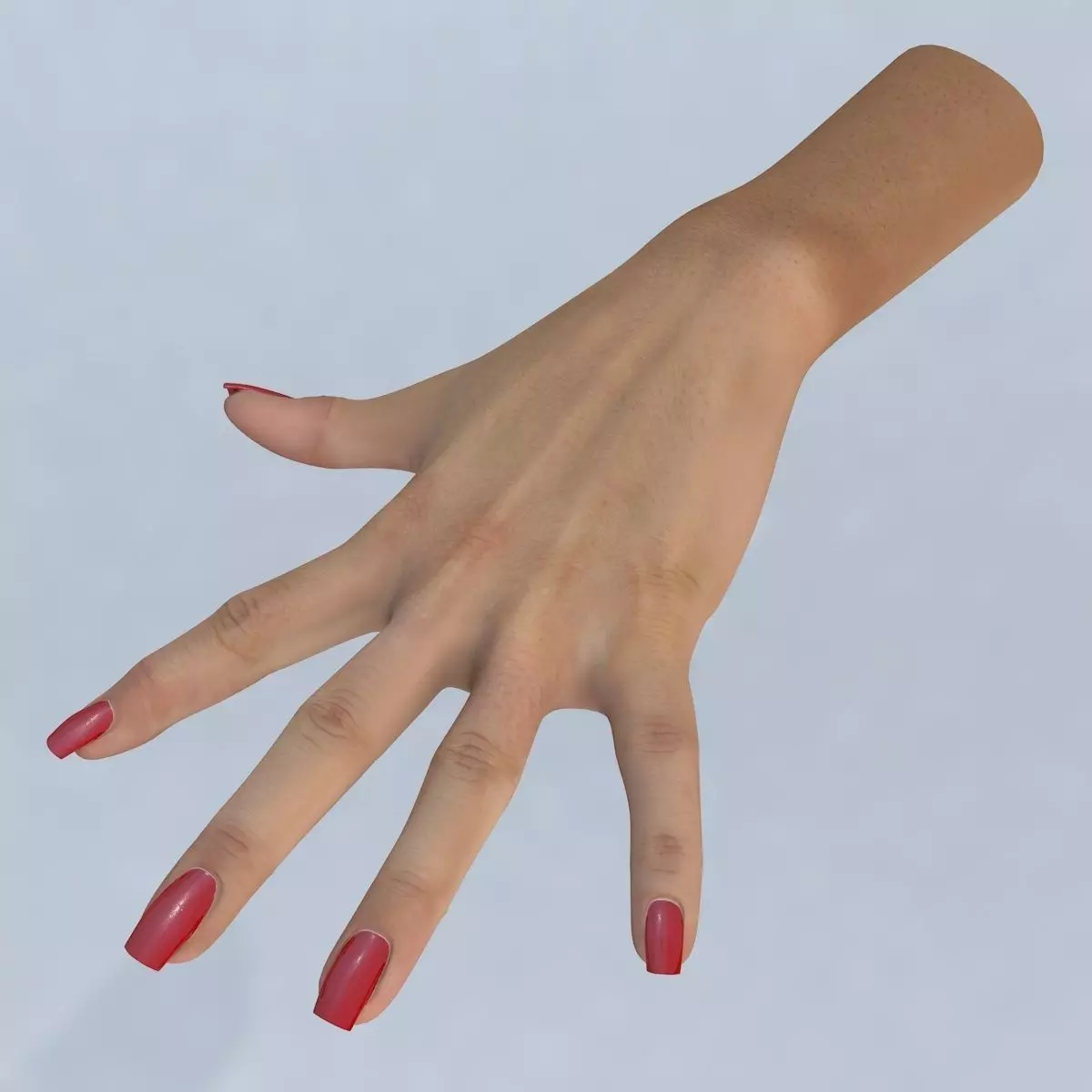 Hand 3d model left female Low-poly 3D model_0