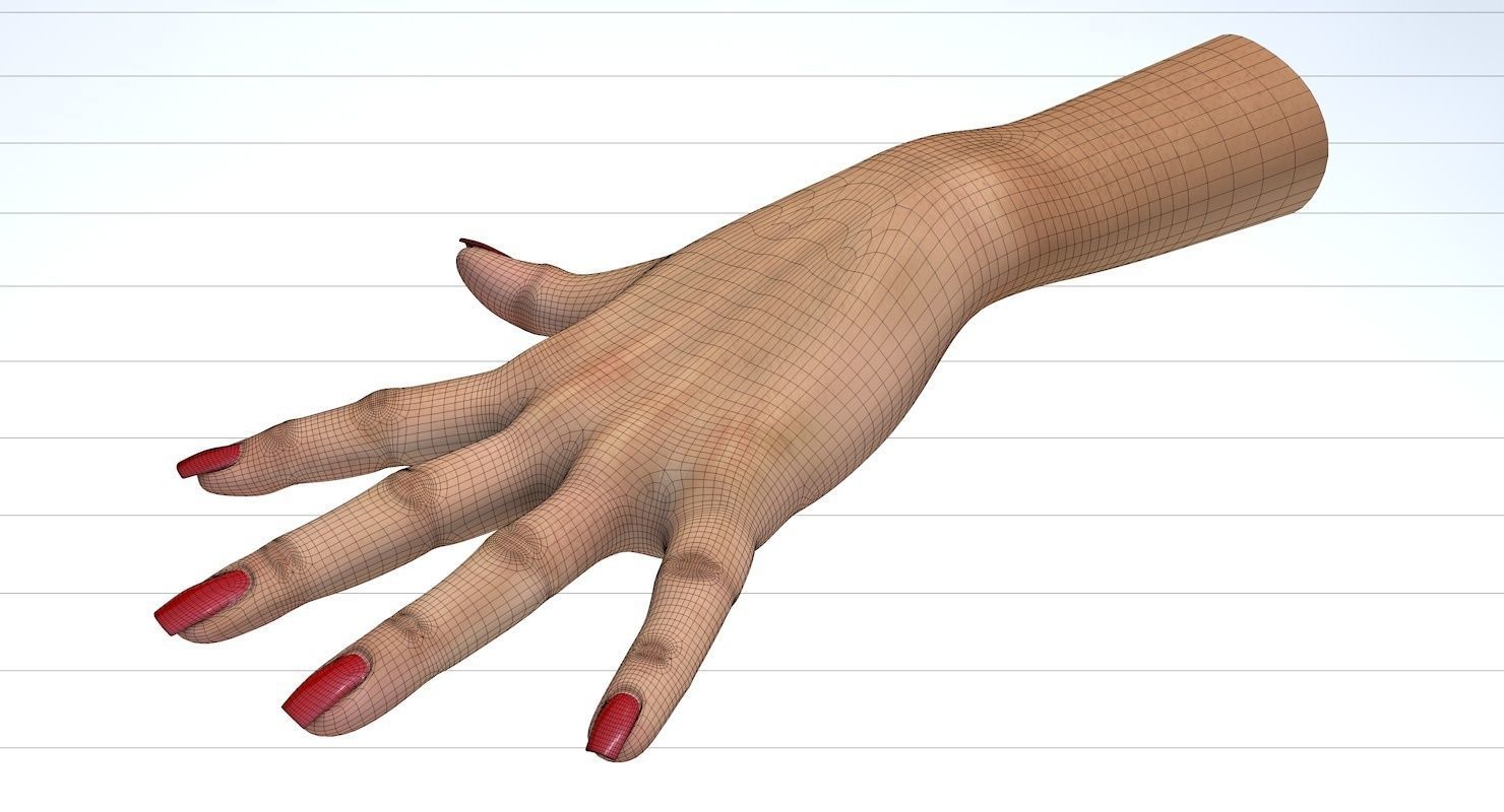 Hand 3d model left female Low-poly 3D model_25