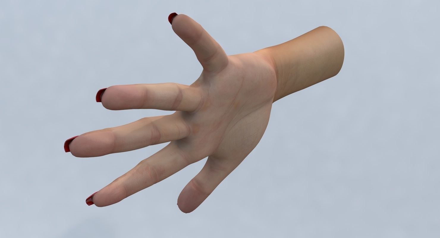Hand 3d model left female Low-poly 3D model_4