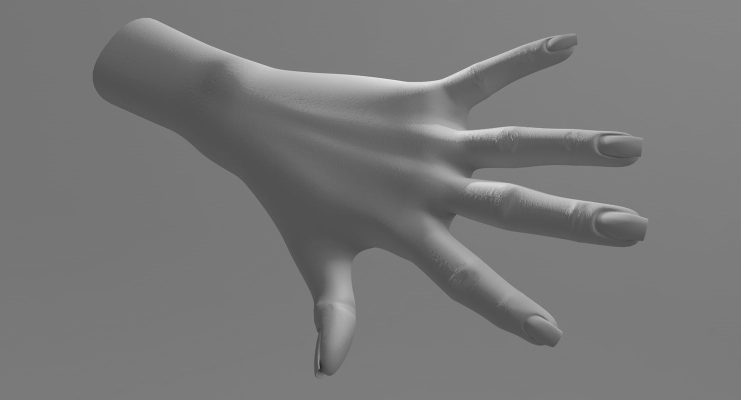 Hand 3d model left female Low-poly 3D model_15