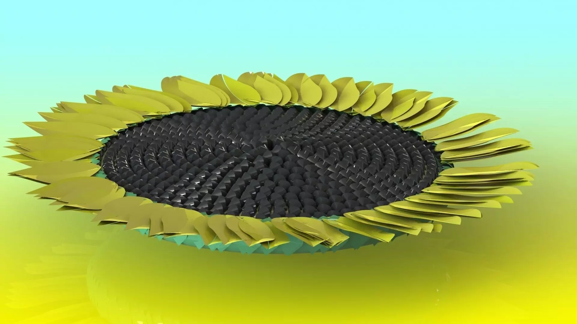 Sun flower Free 3D model