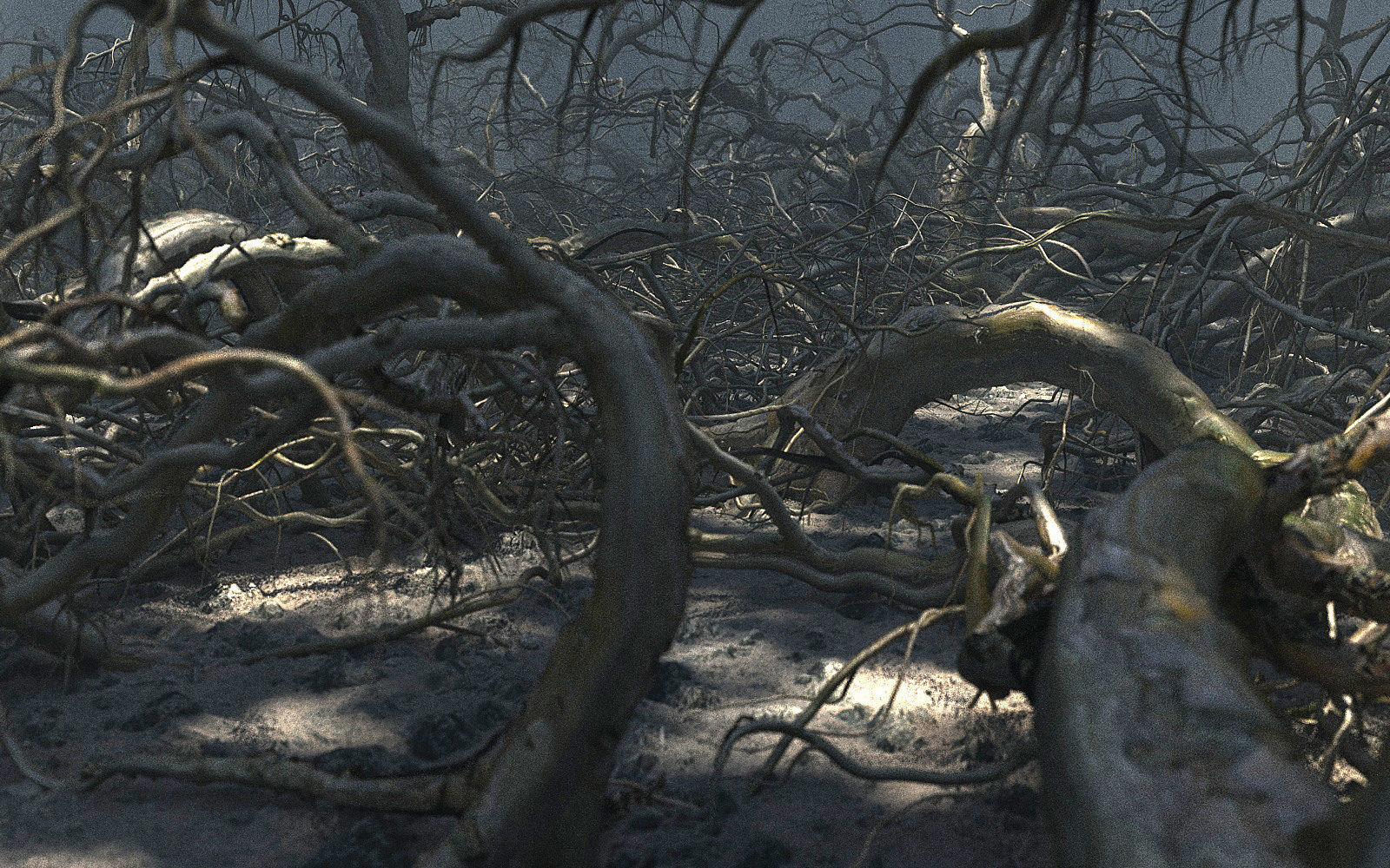 Old Forest Pack 30 3D model_3