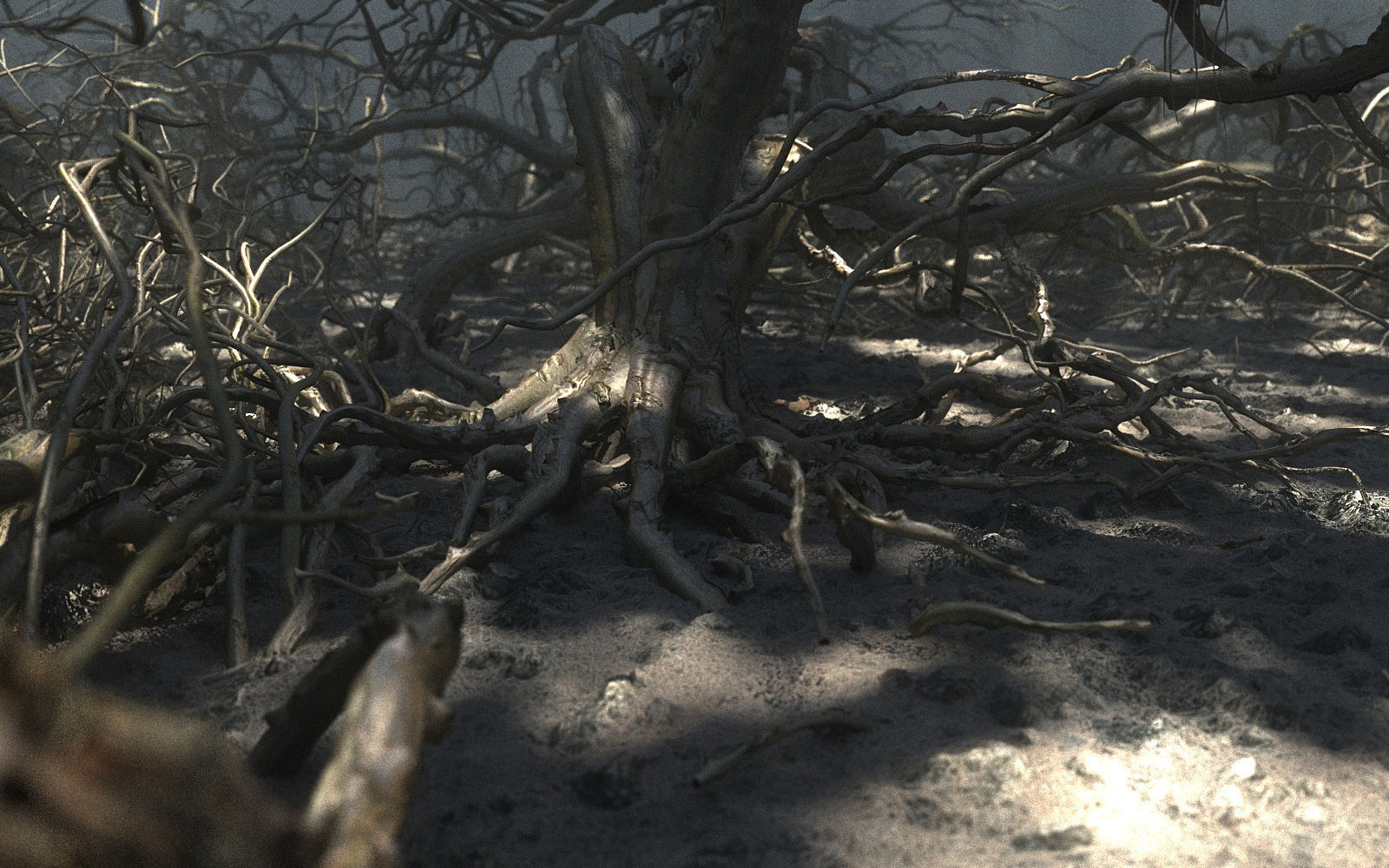 Old Forest Pack 30 3D model_4